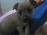 coisinha linda >.<